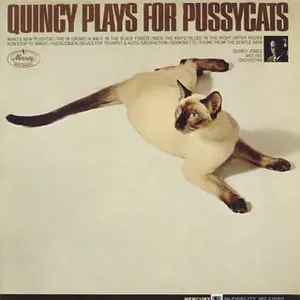 Quincy plays for pussycats